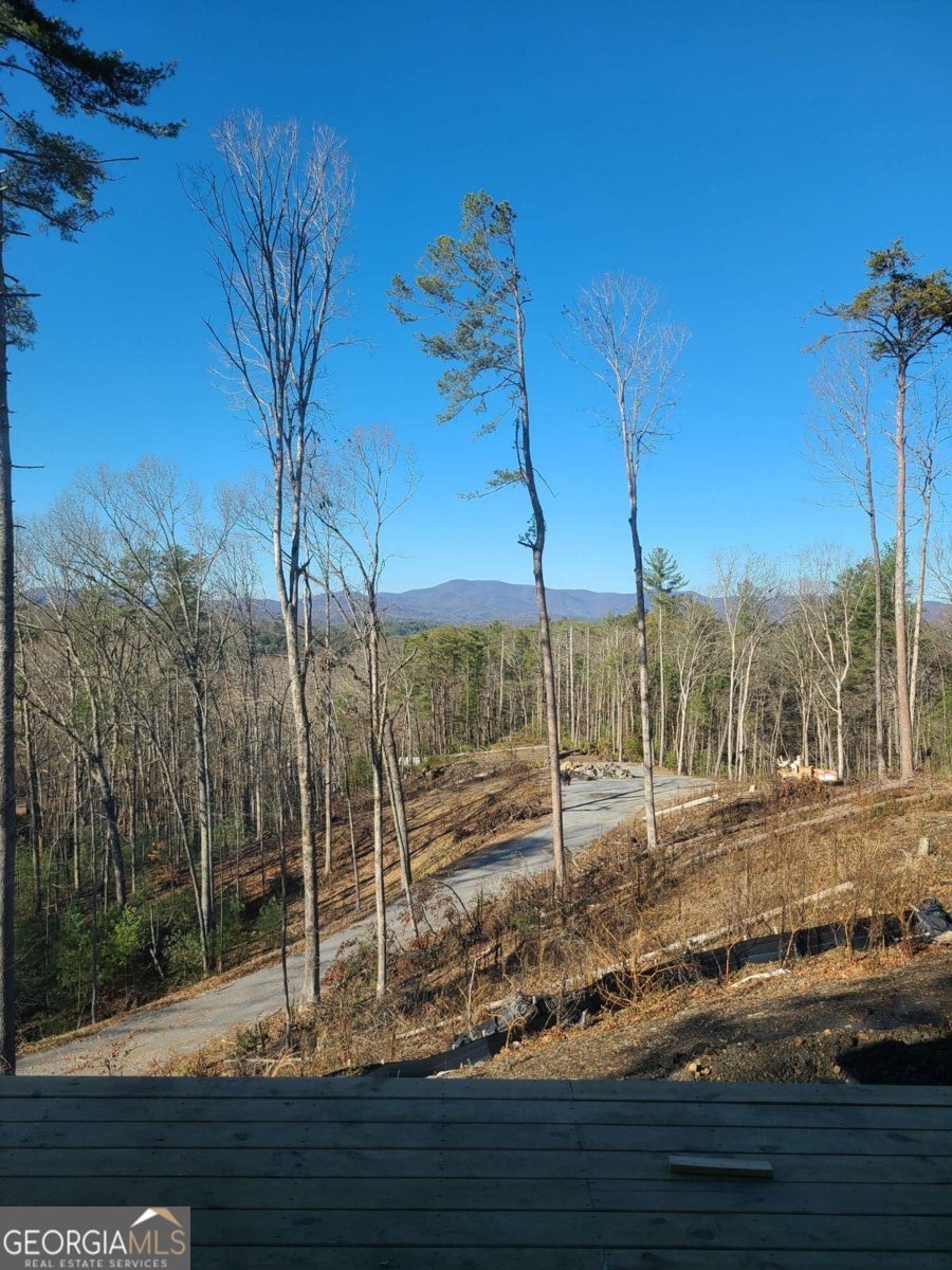1705 Old Northcutt Road Ellijay - 24