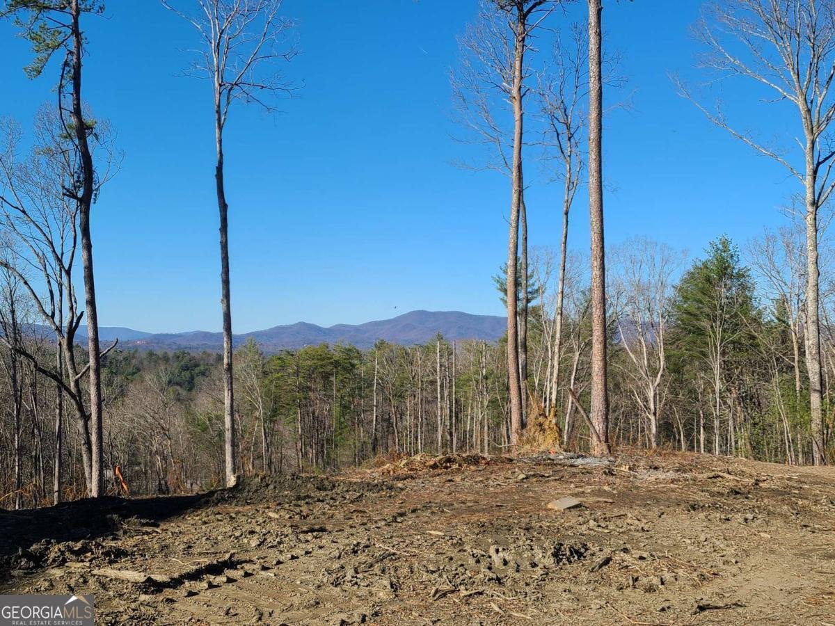 1705 Old Northcutt Road Ellijay - 25