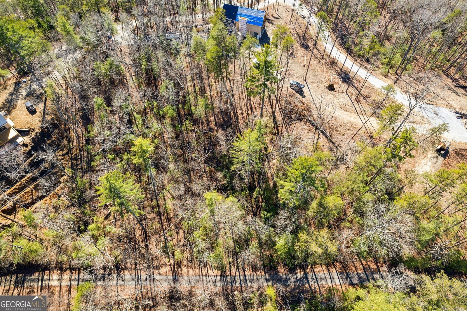 1705 Old Northcutt Road Ellijay - 27