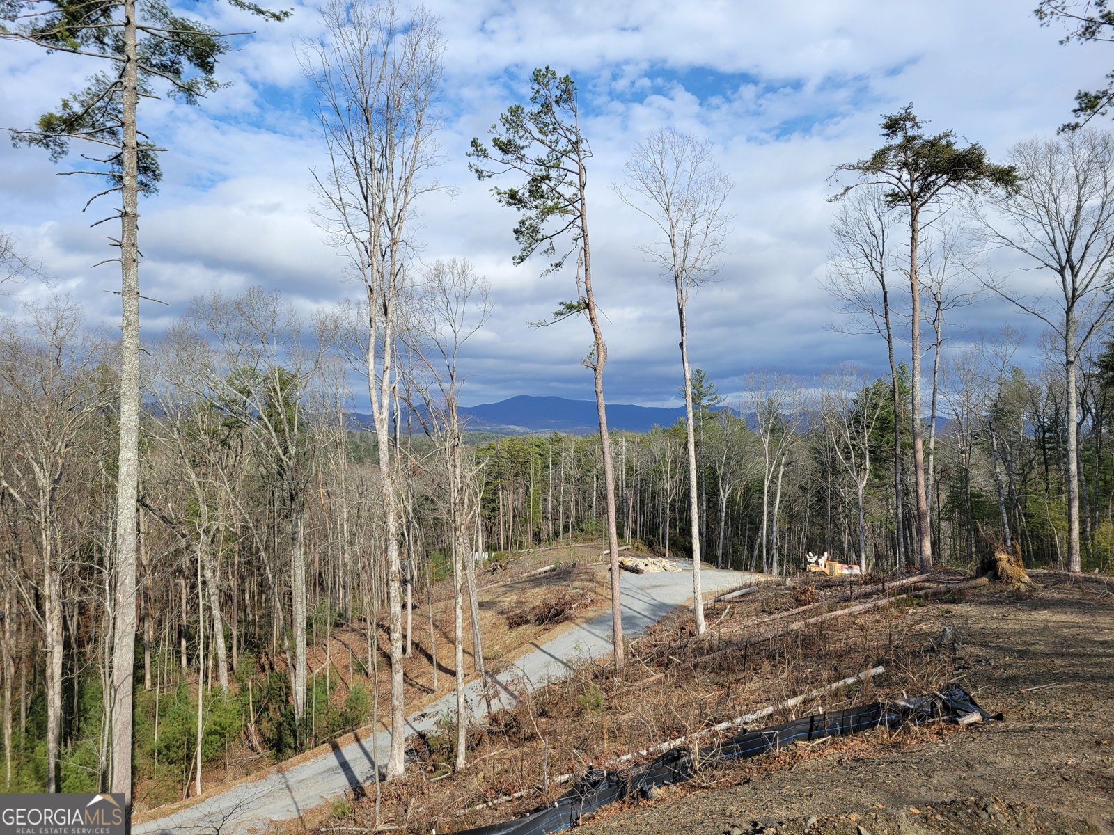 1705 Old Northcutt Road Ellijay - 31