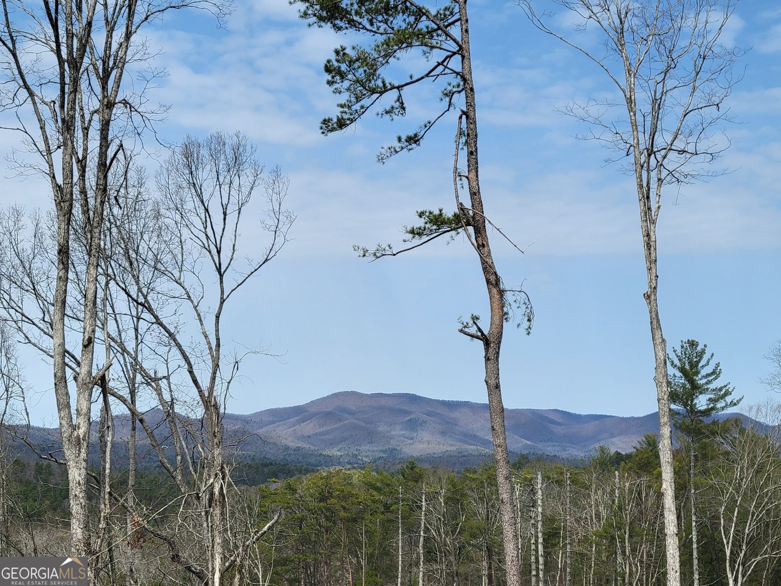 1705 Old Northcutt Road Ellijay - 54