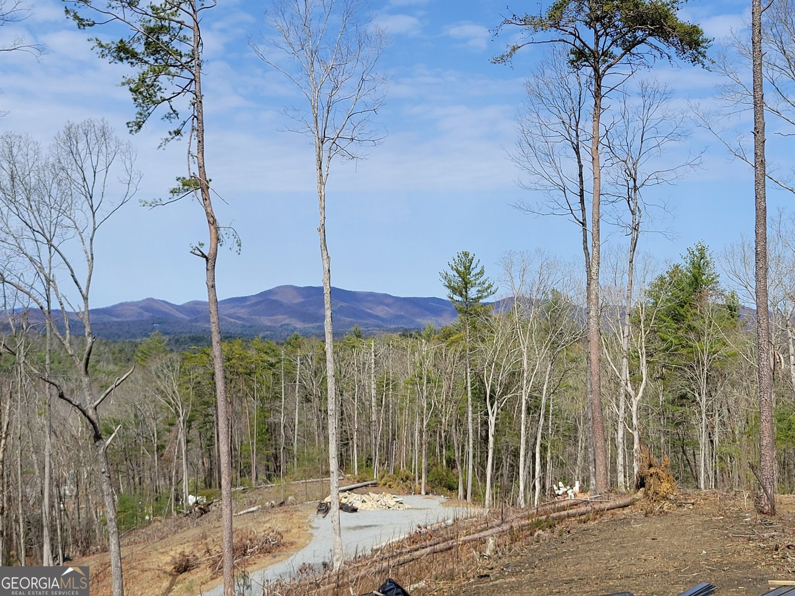 1705 Old Northcutt Road Ellijay - 63