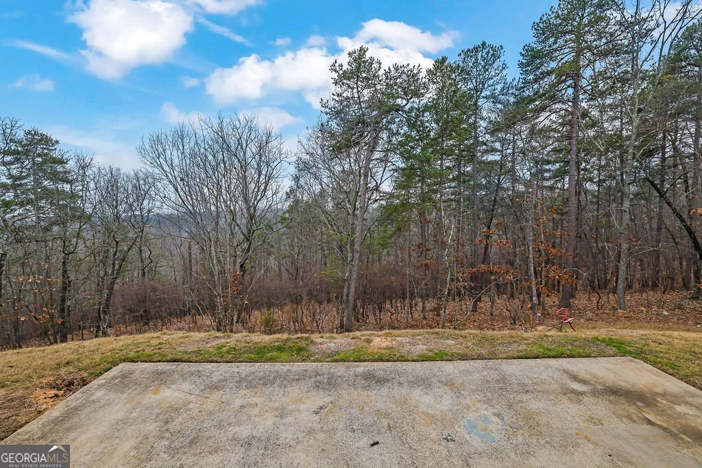 147 Stargaze Ridge Canton - 41