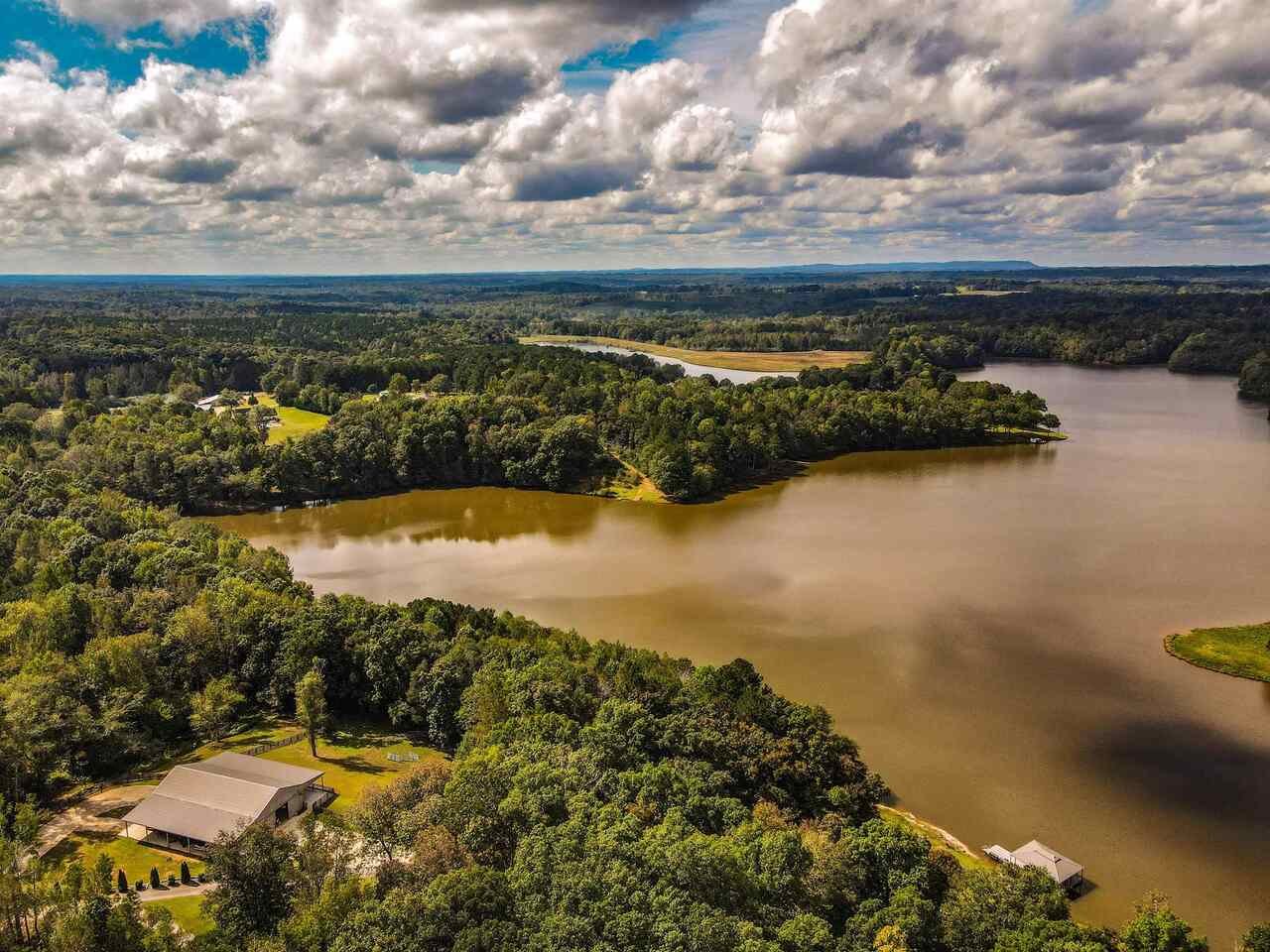 183 Madden Road Bowdon - 59