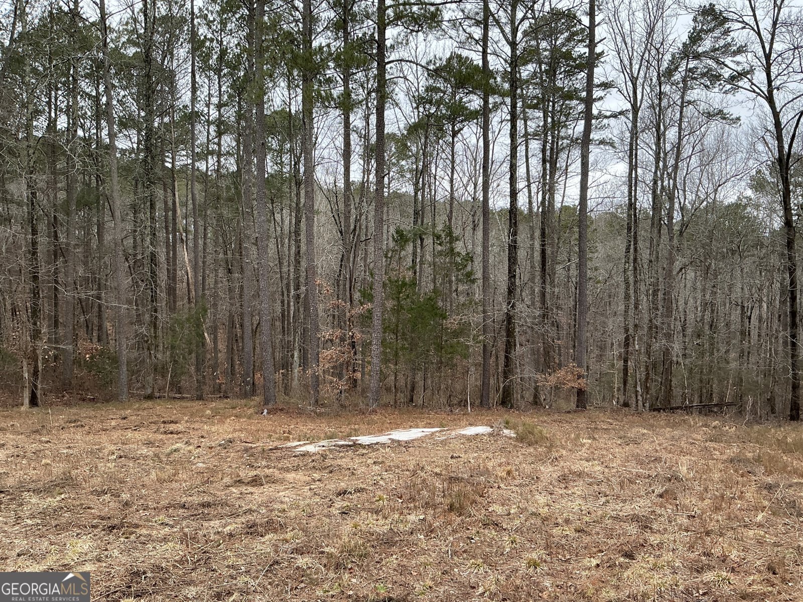 515 Penny Lane Loganville - 36