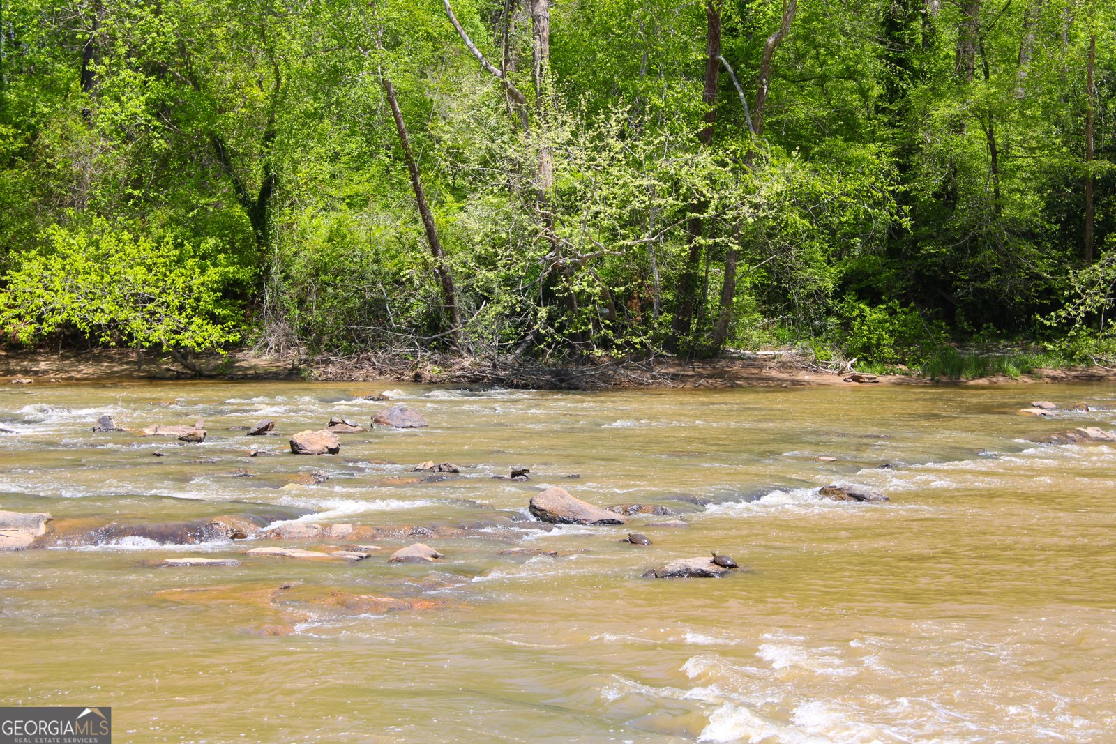 43 River Shoals Drive Athens - 69