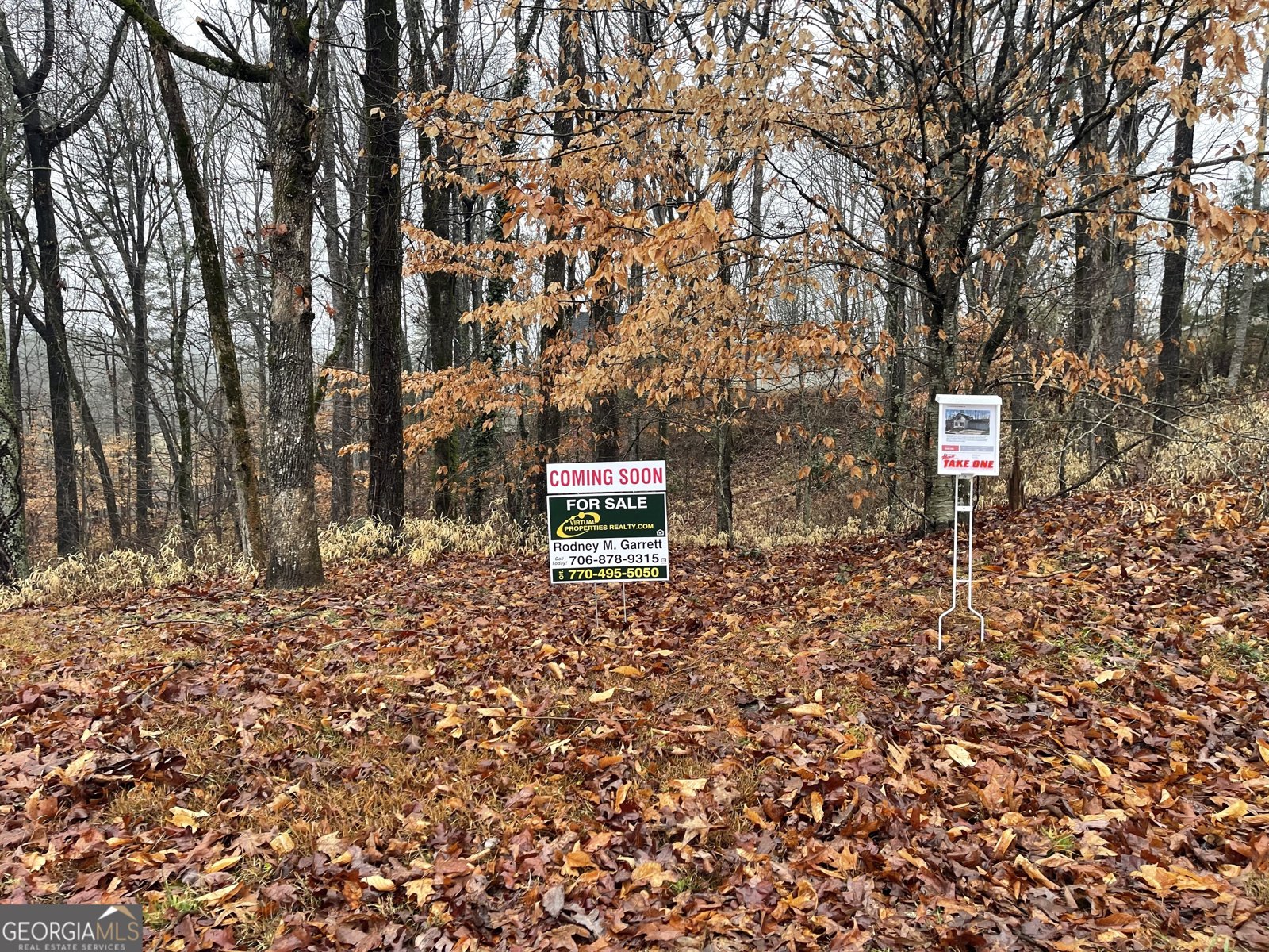 29 Chestatee Springs Lane Dahlonega - 23