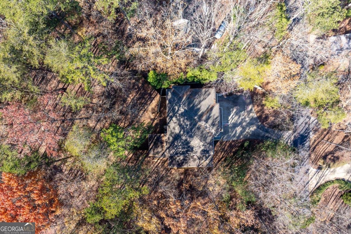 118 Lakeview Circle Waleska - 60