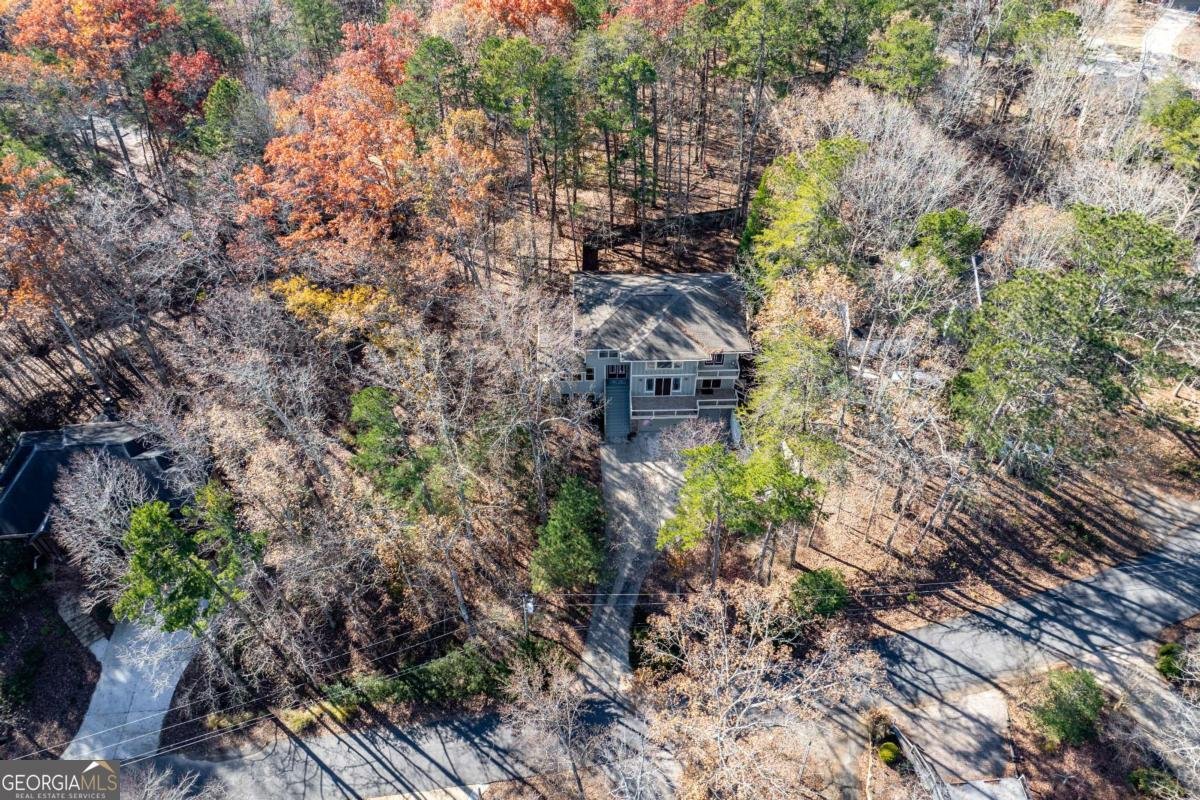 118 Lakeview Circle Waleska - 61