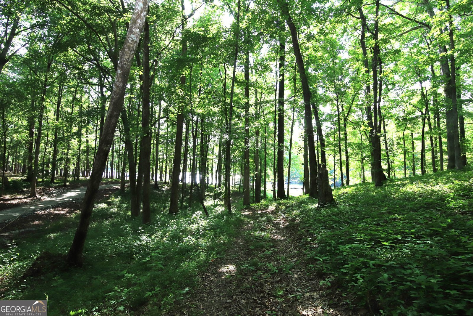 511 Williams Road Lagrange - 8