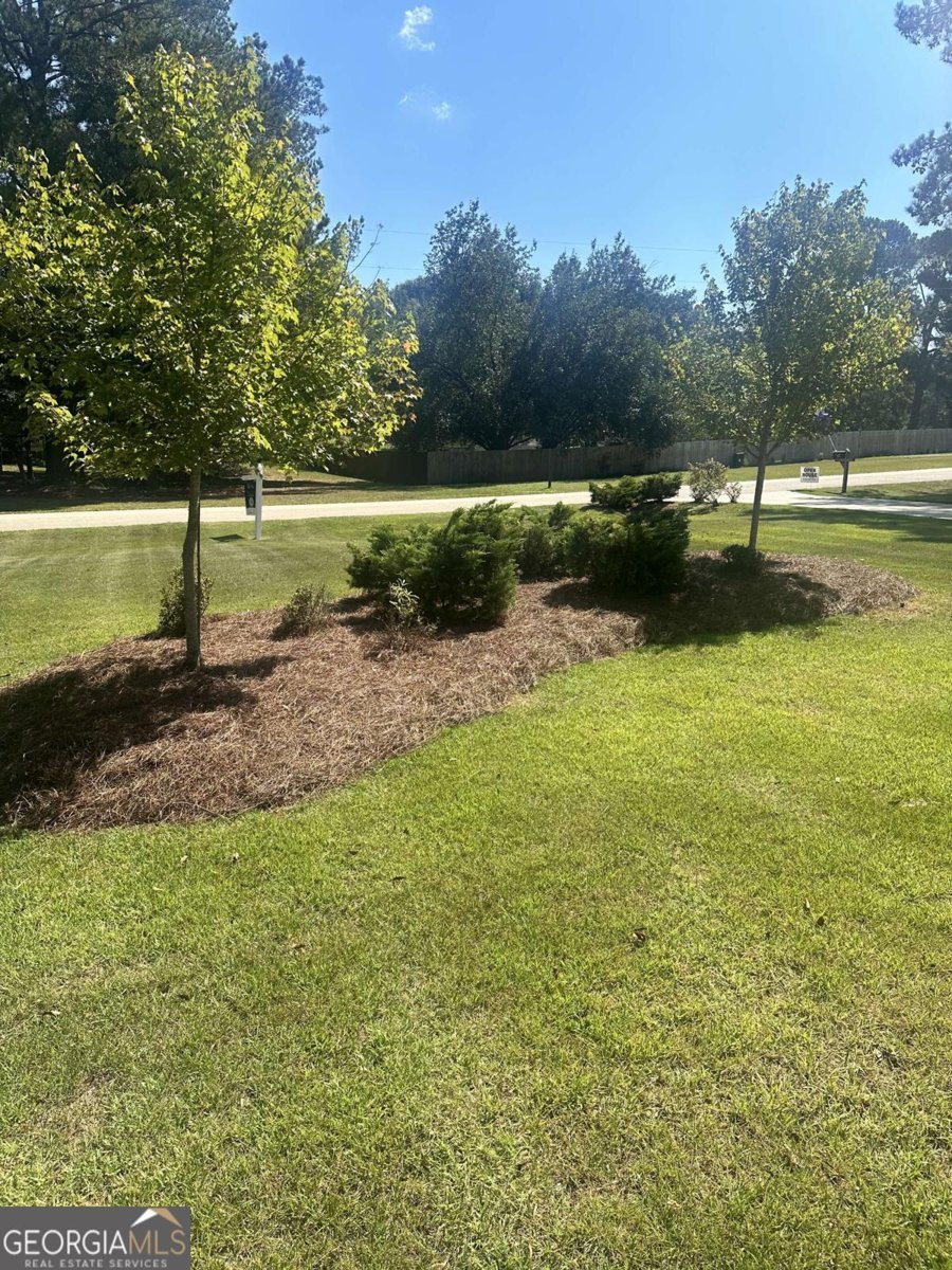 45 Knight Lane Mcdonough - 16