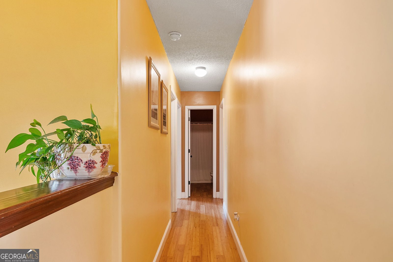 342 ELIZABETH Court Colbert - 17