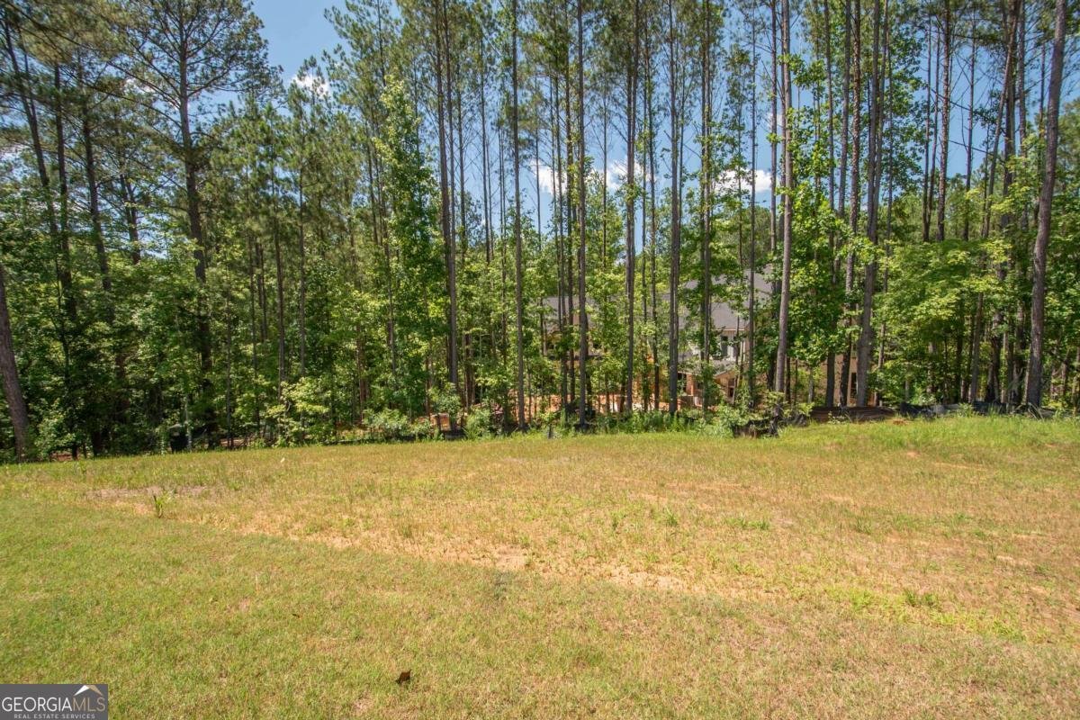 280 Wolf Creek Cove Lagrange - 39