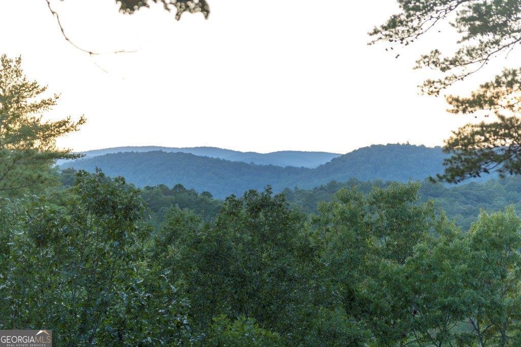 444 Miners Mountain Road Sautee Nacoochee - 2