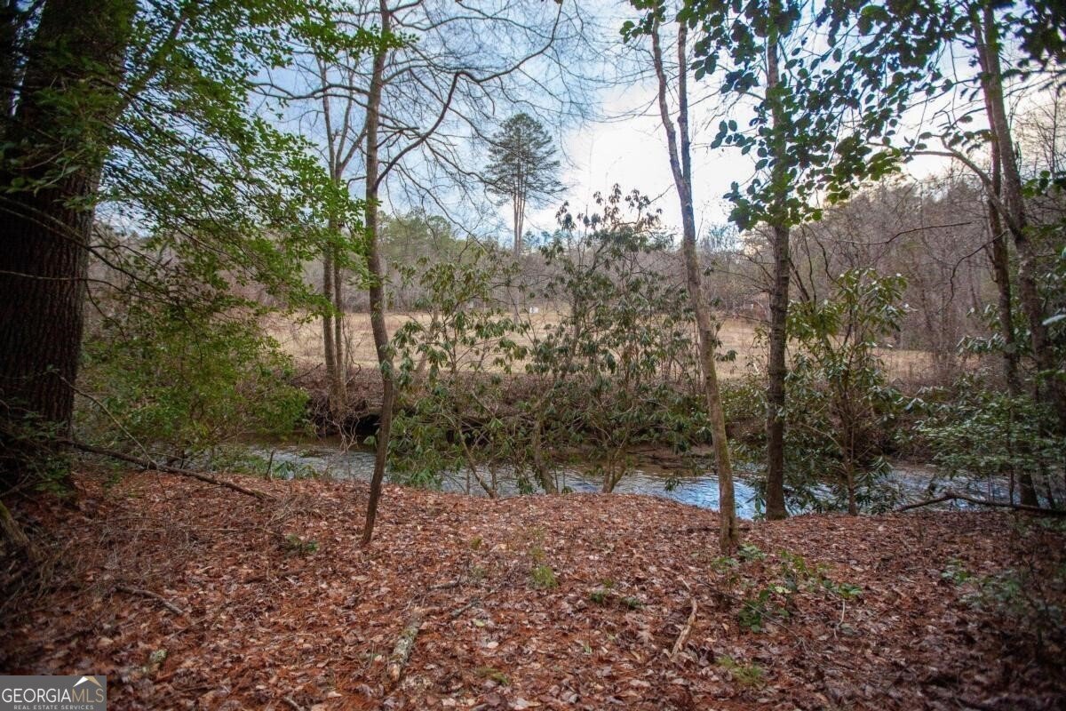 226 Pine Tree Drive Epworth - 21