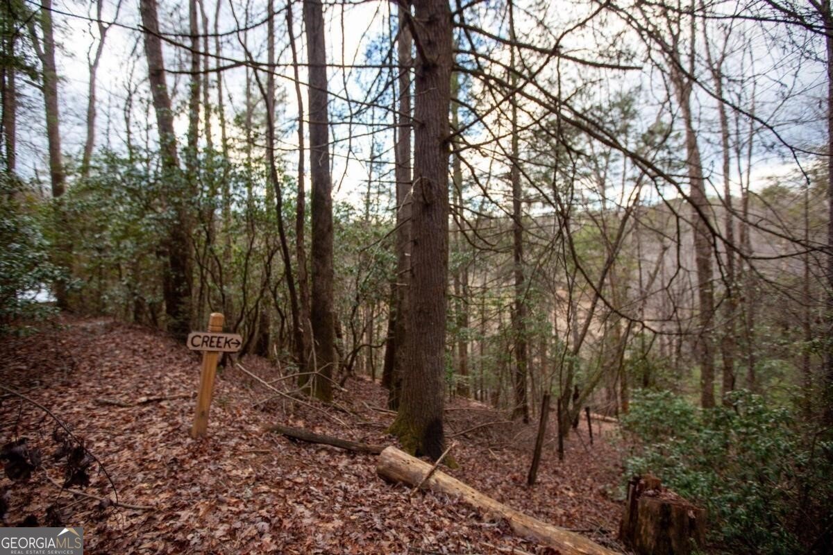 226 Pine Tree Drive Epworth - 24