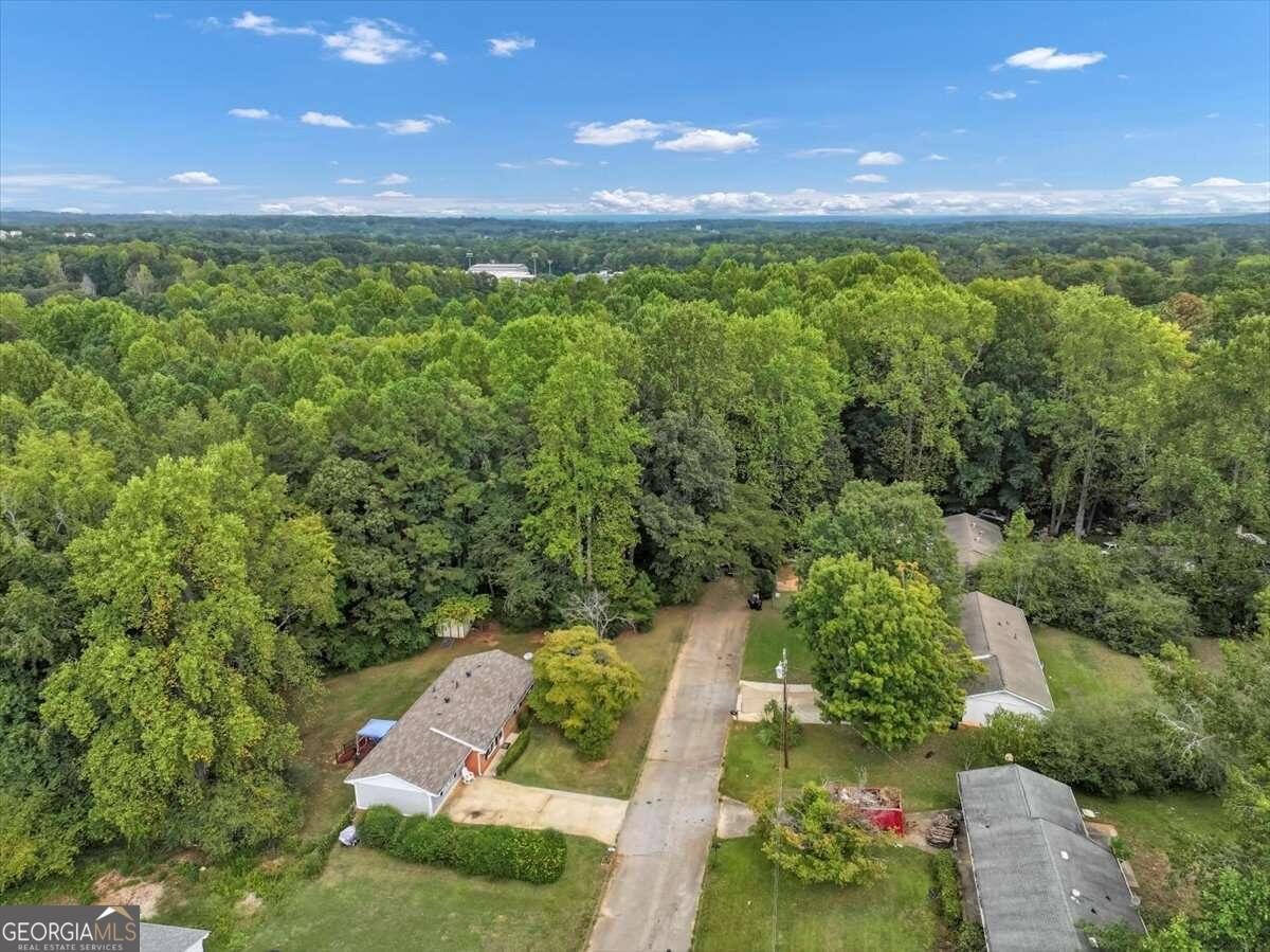 3569 Briar Drive Lithia Springs - 34