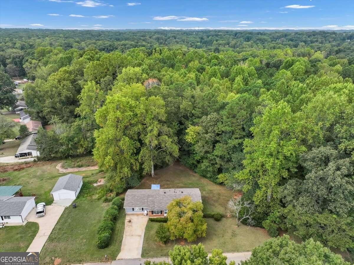 3569 Briar Drive Lithia Springs - 37