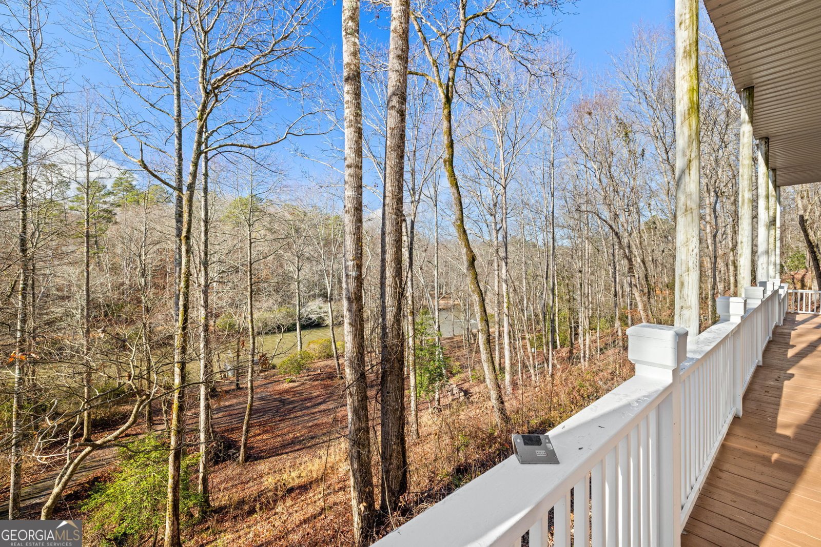 119 Chattahoochee Winds Drive Demorest - 53