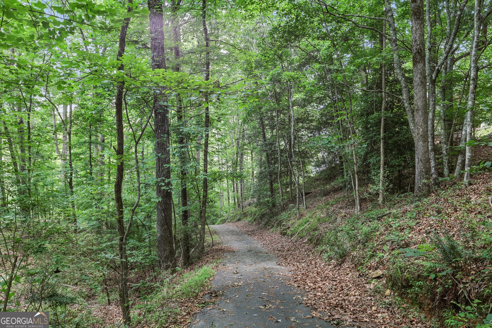 119 Chattahoochee Winds Drive Demorest - 56