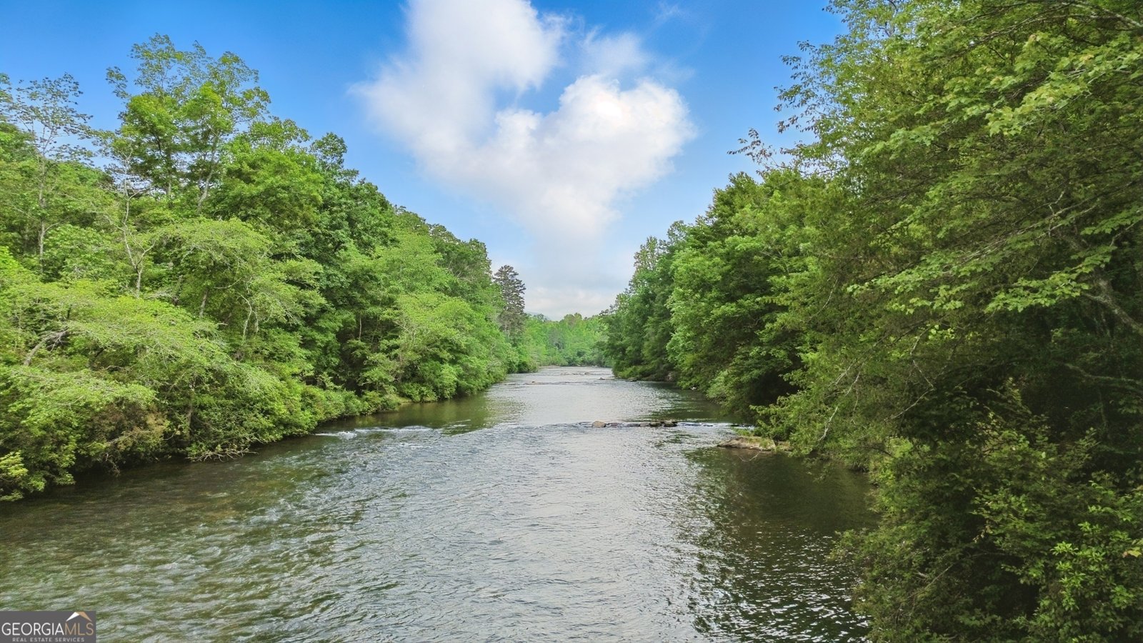 119 Chattahoochee Winds Drive Demorest - 60