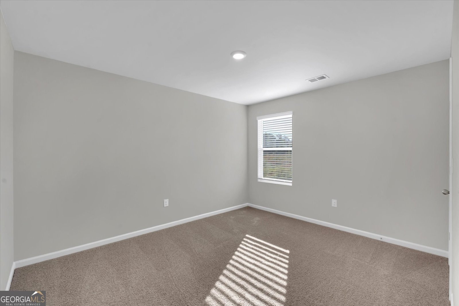325 Lusitano Trace Hogansville - 11
