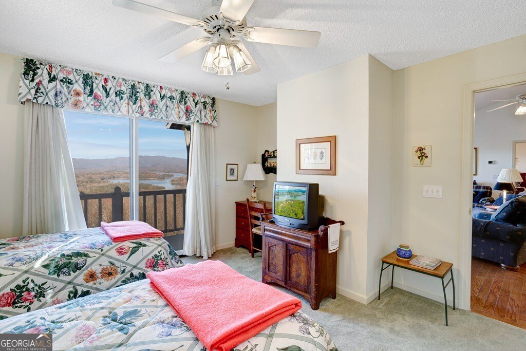3160 Hiawassee Trace Hiawassee - 14