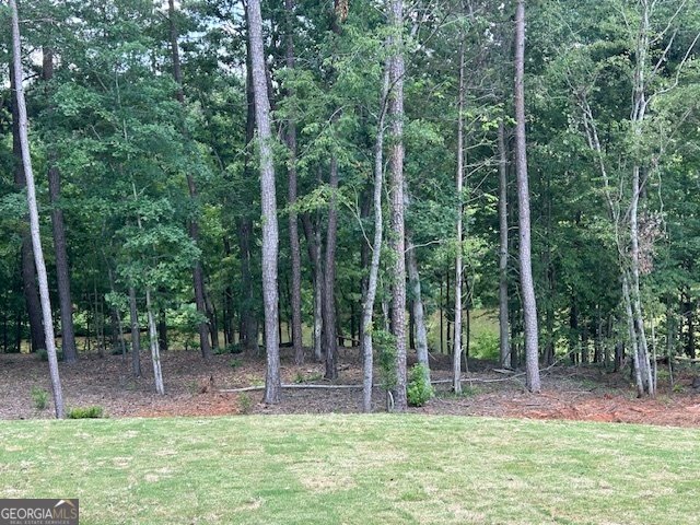 LOT 158 SNUG HARBOR PLACE Newnan - 28
