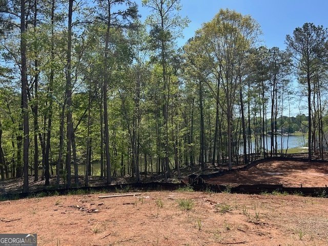 LOT 158 SNUG HARBOR PLACE Newnan - 38