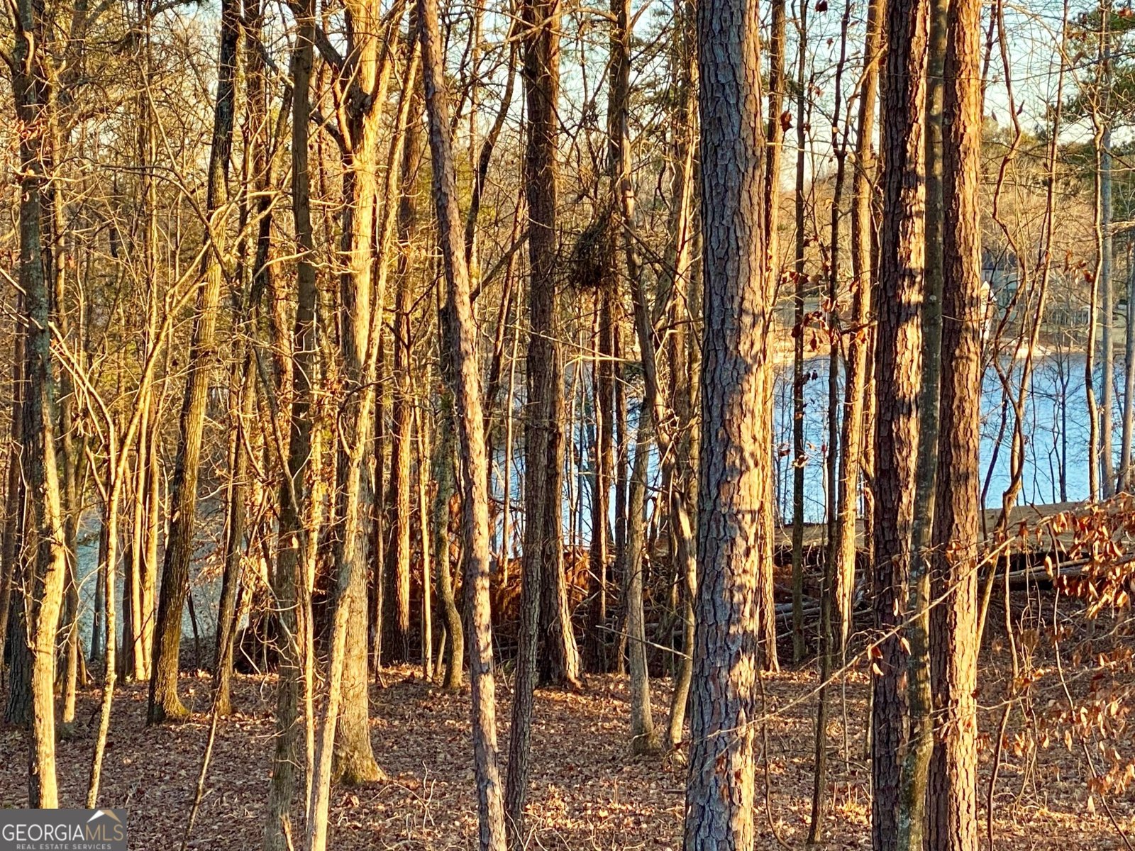 LOT 158 SNUG HARBOR PLACE Newnan - 39