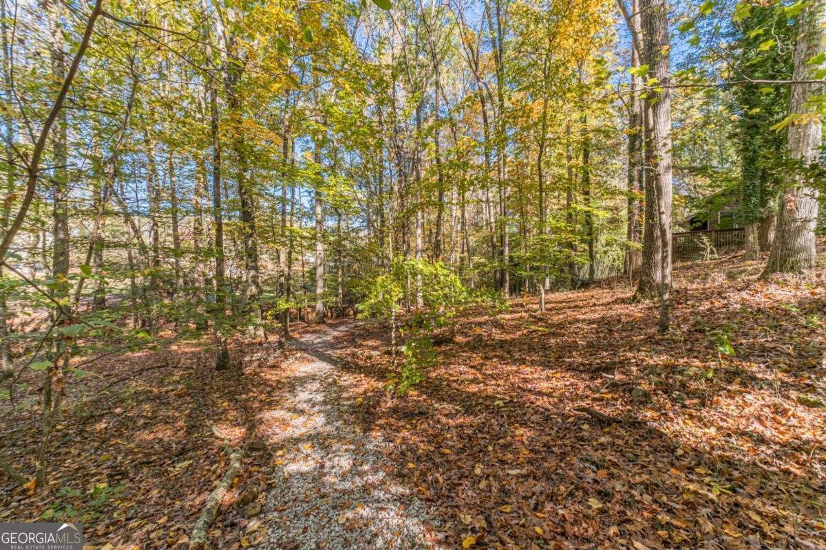 2612 Country Club Drive Conyers - 80