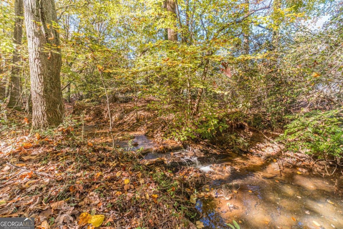2612 Country Club Drive Conyers - 81