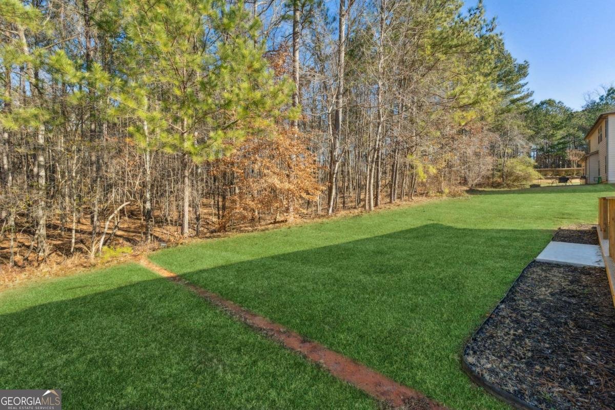 3736 Busker Mill Lane Ellenwood - 40