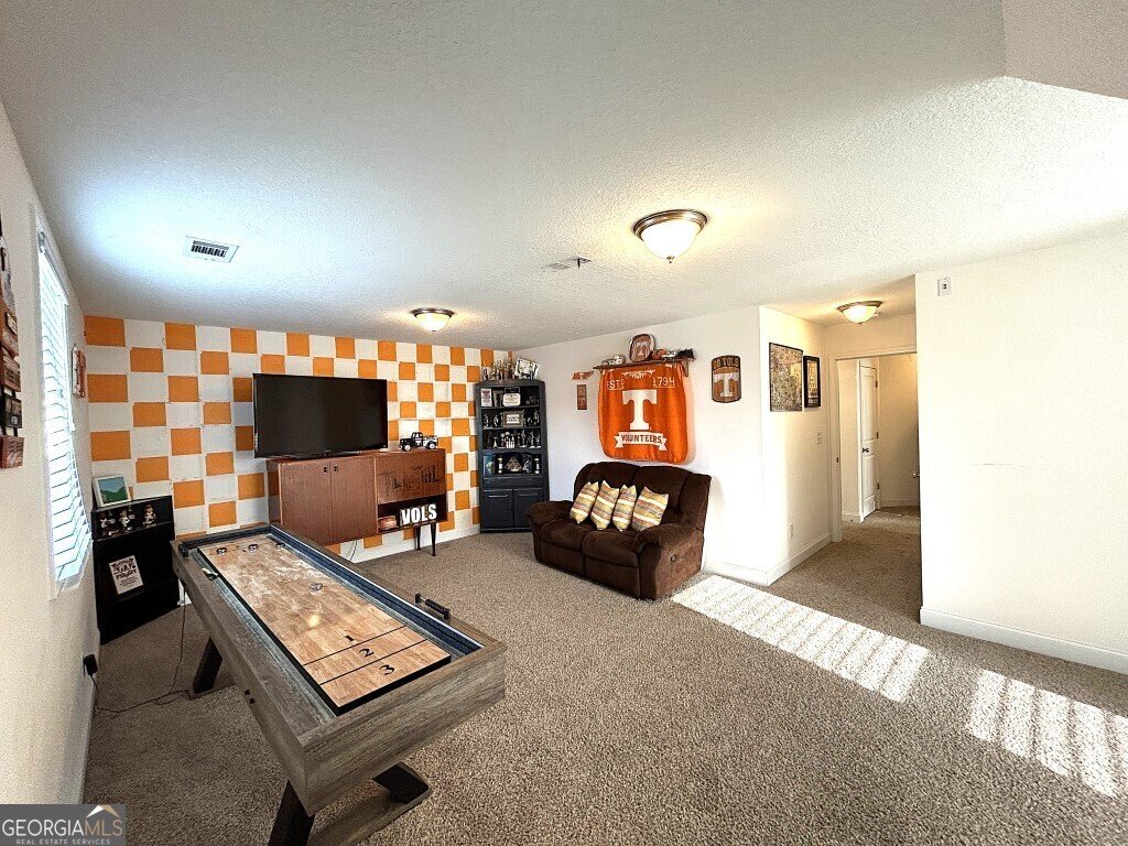 390 Linman Drive Lagrange - 22