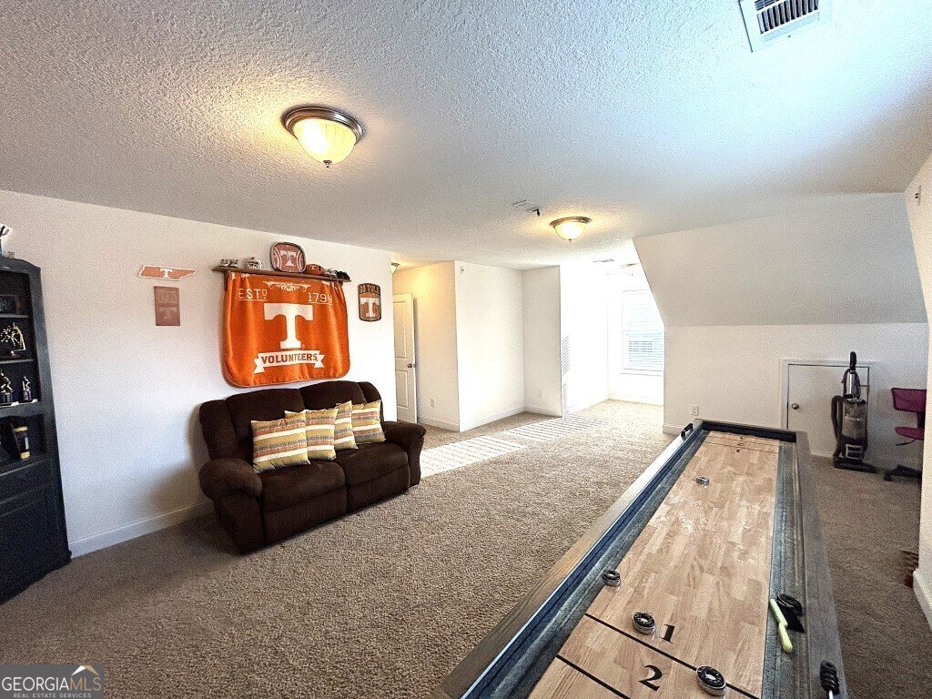 390 Linman Drive Lagrange - 23