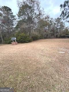 1473 Ben Gay Way Hinesville - 33