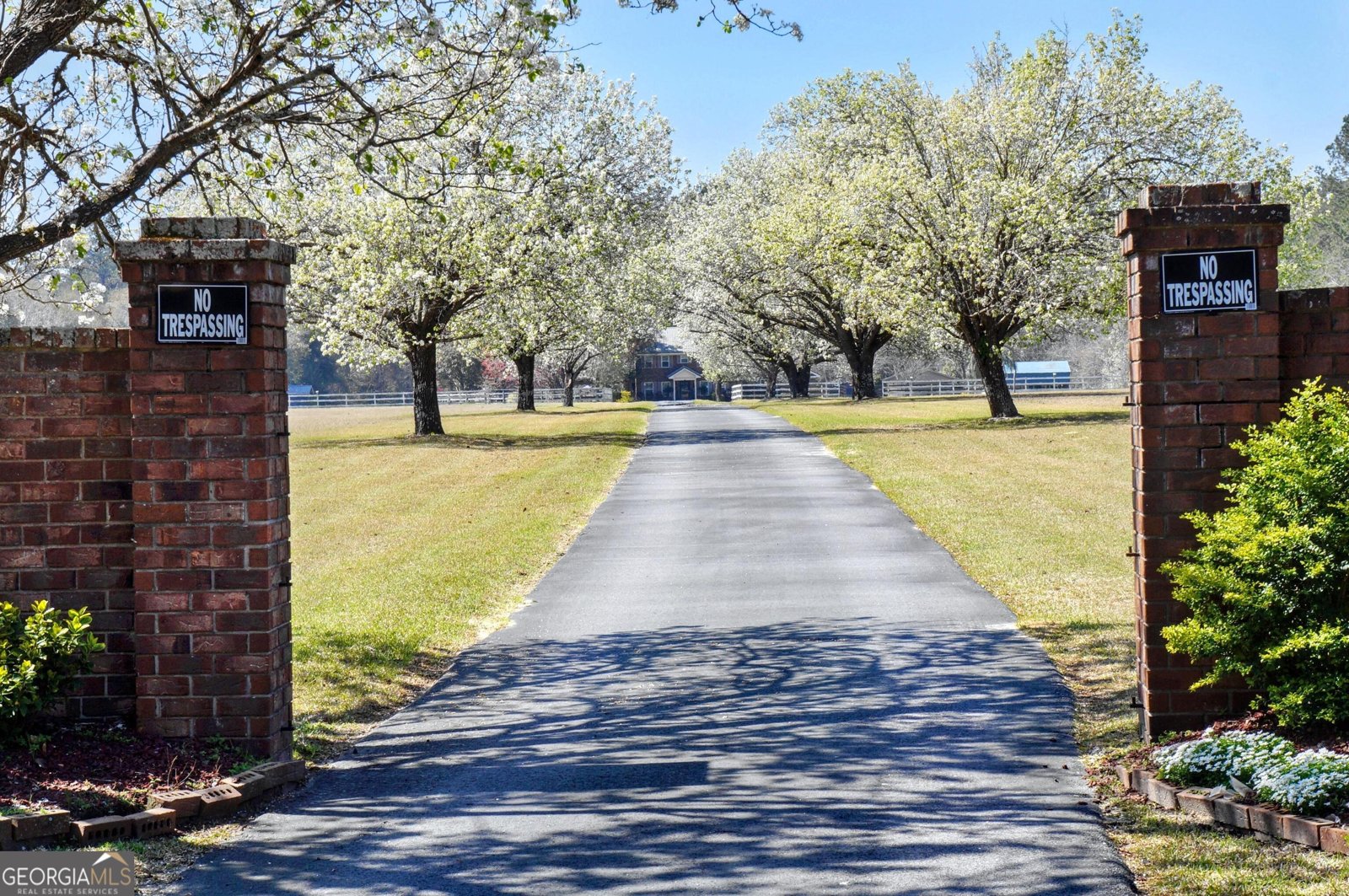 1099 Old Olive Branch Road Ellabell - 5