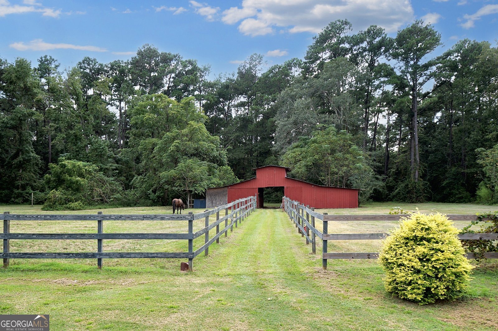 1099 Old Olive Branch Road Ellabell - 9