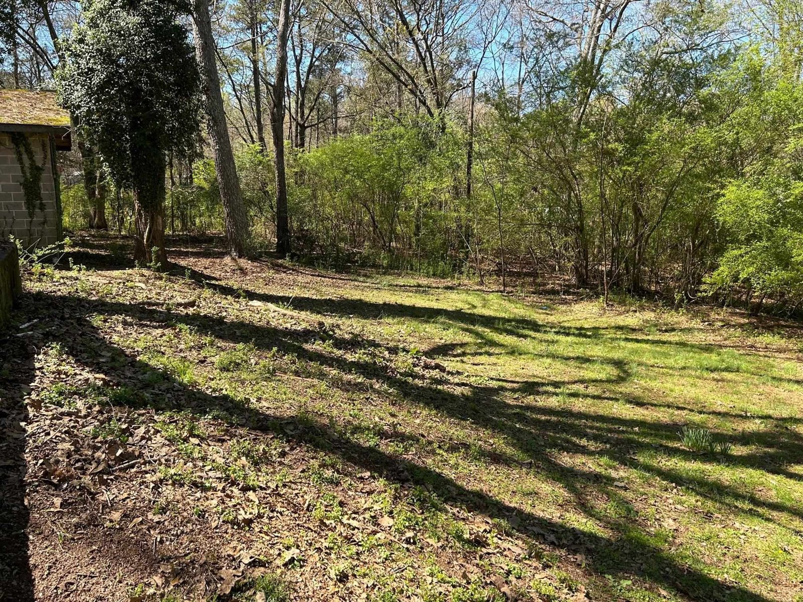 190 Bowles Drive Athens - 3