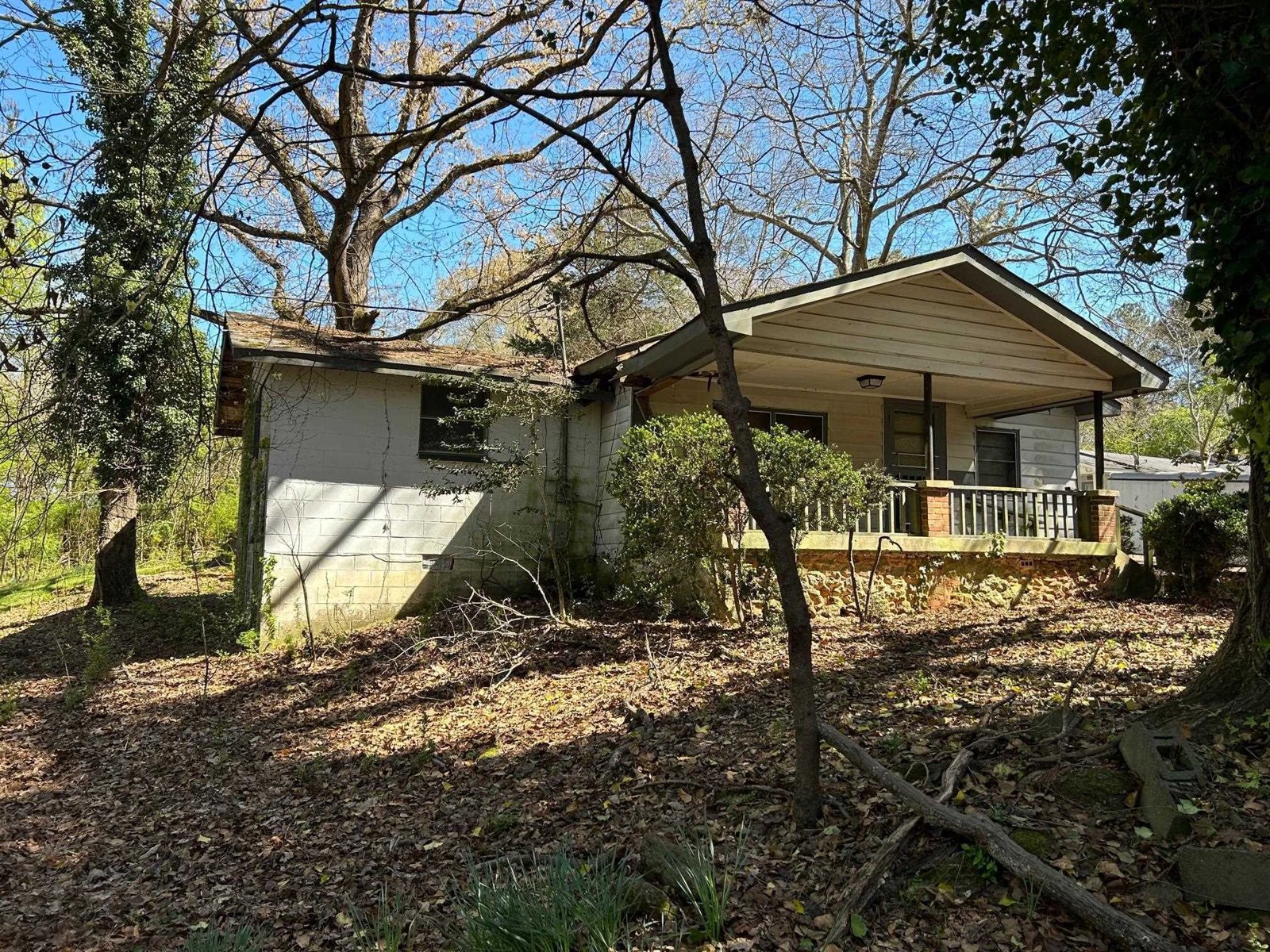 190 Bowles Drive Athens - 6