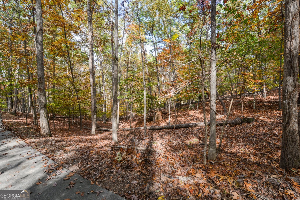115 Russell Road Roswell - 134