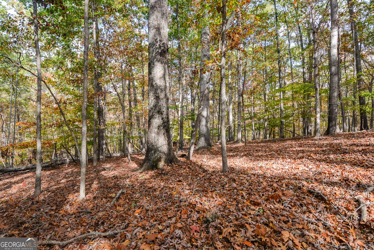 115 Russell Road Roswell - 135