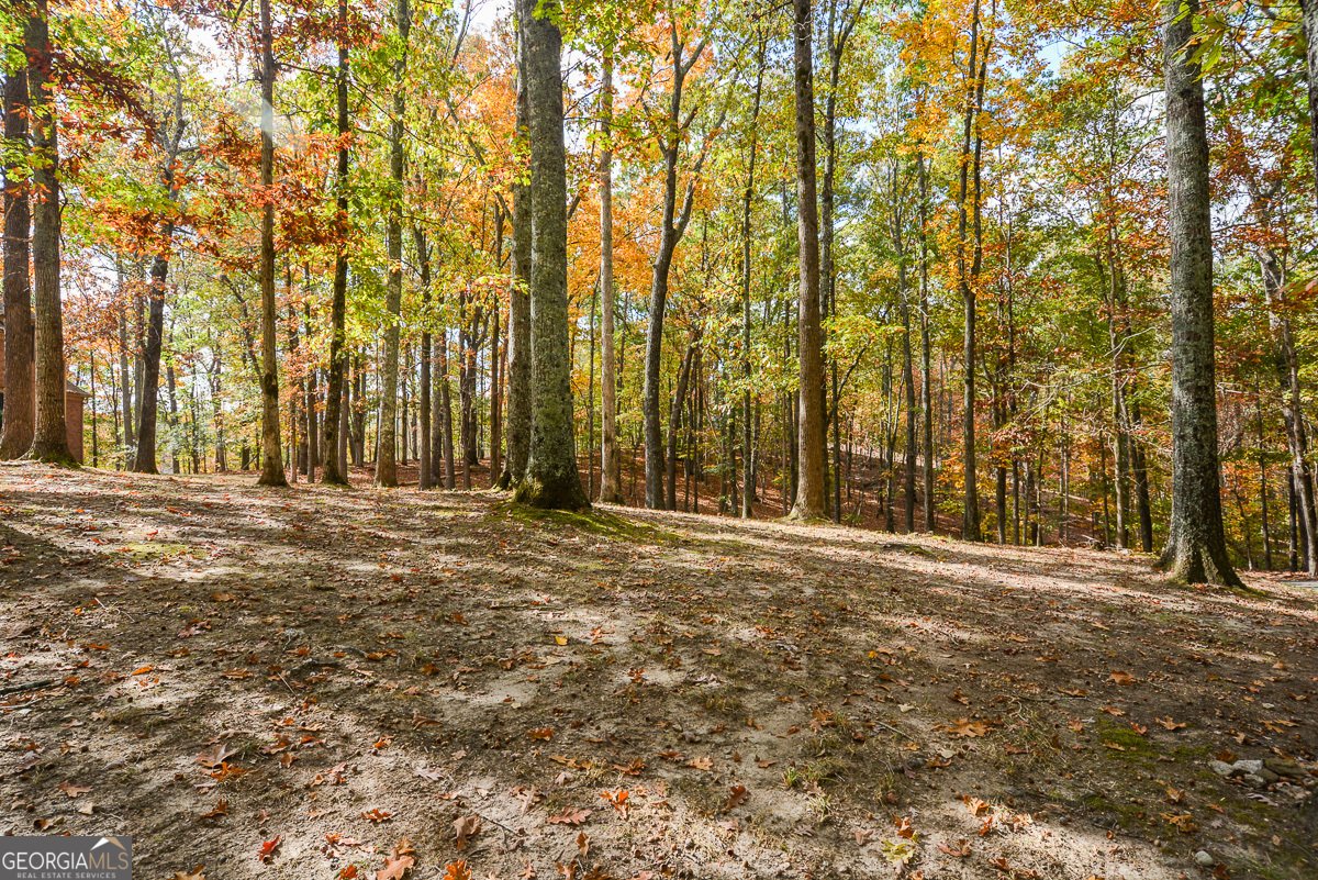 115 Russell Road Roswell - 136