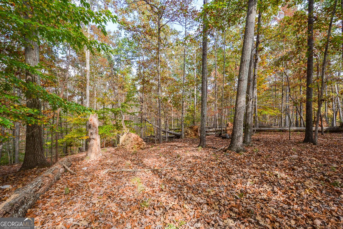 115 Russell Road Roswell - 137
