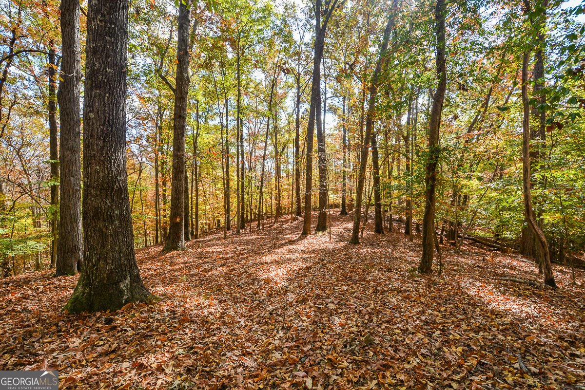 115 Russell Road Roswell - 138