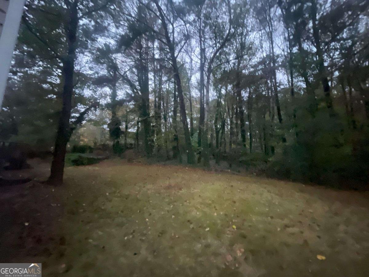 2656 Del Ridge Drive Douglasville - 6