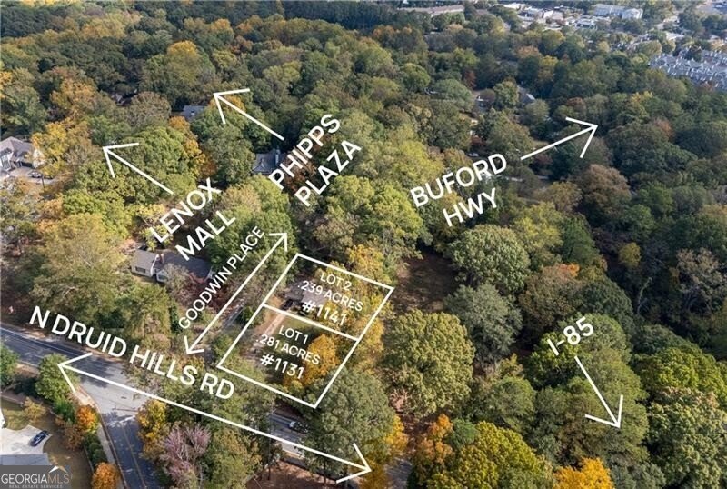 1141 Goodwin Place Brookhaven - 2