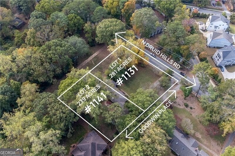 1141 Goodwin Place Brookhaven - 3