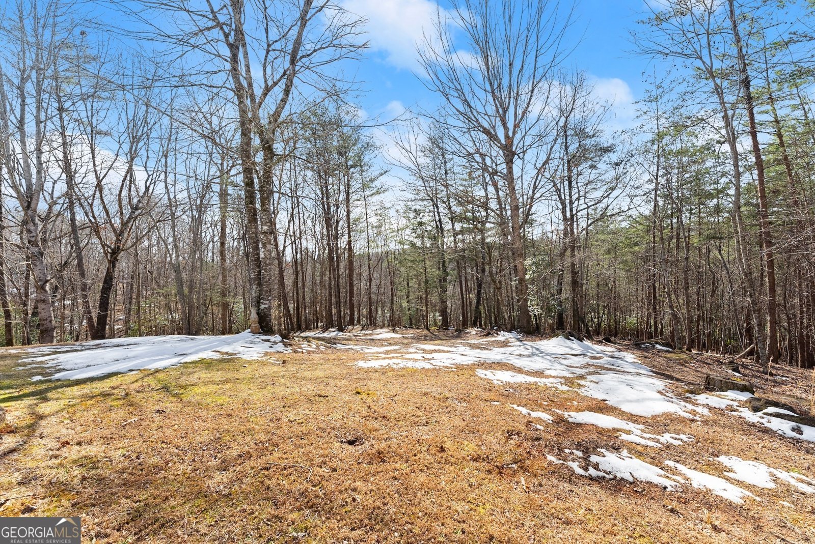 2314 Panorama Drive Sautee Nacoochee - 35