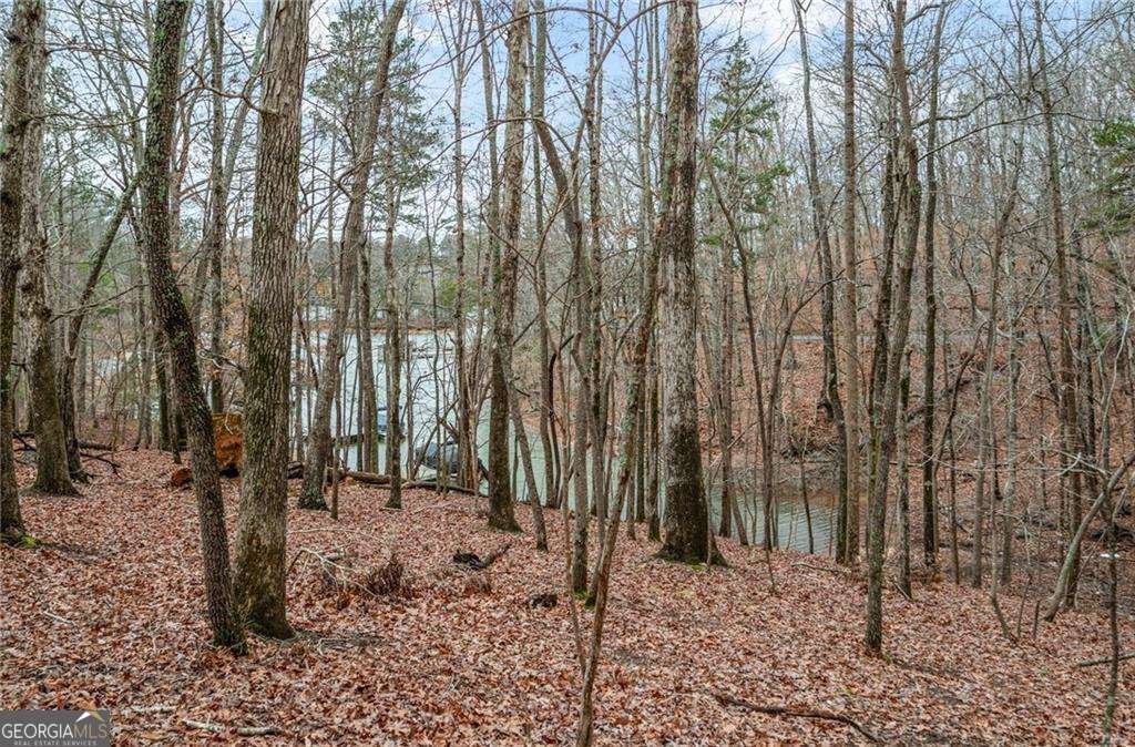 5990 Warpath Road Flowery Branch - 6